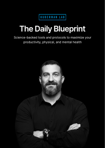 The Daily Blueprint - Dr.Andrew Huberman