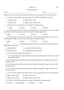 summative q2