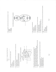 Circulatory-System-Practice-Test-2lt5cu7