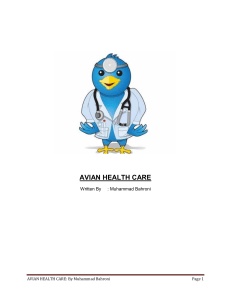 Avian Health Care Bahroni