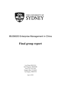 IBUS6020 Group 31 Report 