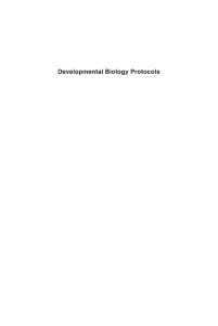 Developmental biology protocols