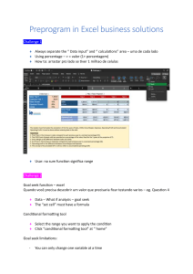 Preprogram in Excel business solutions