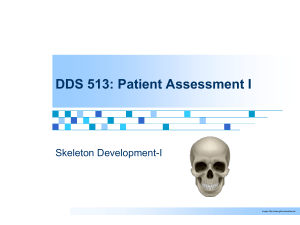 6 Skeleton Development-I