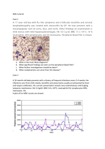 WBC tutorial (1)