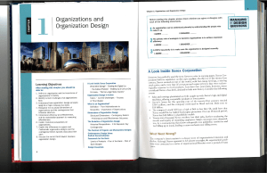 Organizations & Design: Textbook Chapter