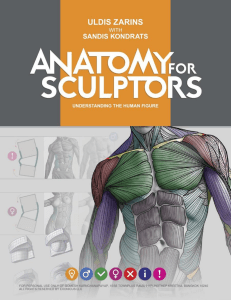anatomy-for-sculptors