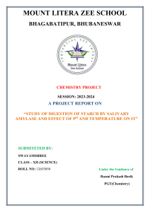 Project Report Chemistry (1)