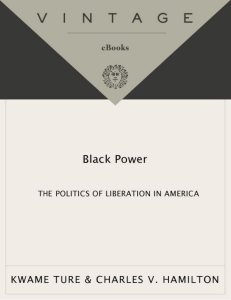 Black Politics Ebook