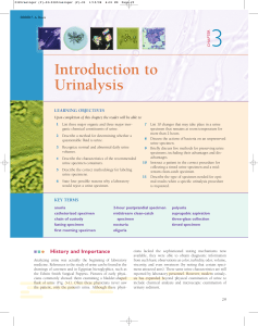 Urinalysis 