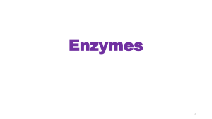 chapter 4- Enzymes -
