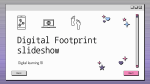 DL-10-digital-footprint