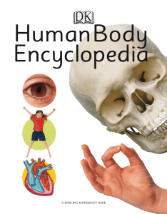 human-body-encyclopedia