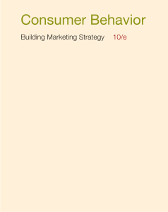 Consumer behavior  building marketing strategy 