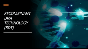 Recombinant DNA Technology (RDT) Explained