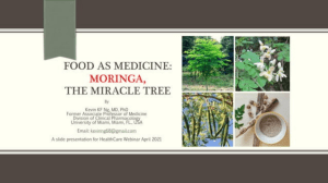food-as-medicine-moringa-the-miracle-tree (1)