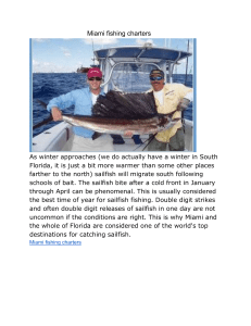 Miami fishing charters