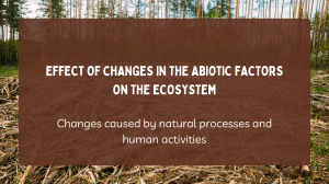 Effects of Changes in the Abiotic and Biotic Factors in the Ecosystem