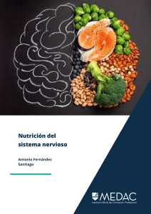 Nutrición del sistema nervioso