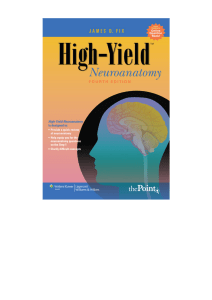 High-Yield-Neuroanatomy-4th-Edition-www.irananatomy.ir
