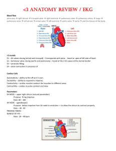 Heart Anatomy Review 