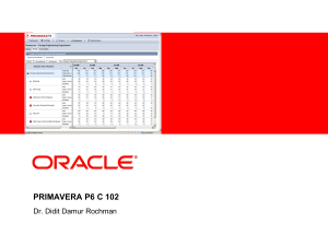 02b PRIMAVERA P6 C 102