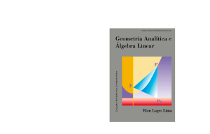 ELON LAGES Geometria analitica e algebra (4)