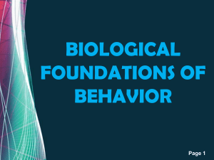 Biological Foundations of BEH