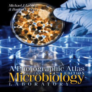 A Photographic Atlas for the Microbiology Laboratory 4th ed (2011)