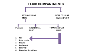 physiology:blood and body fluids
