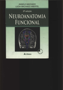 Neuroanatomia Funcional by Angelo Machado - 3Âª ediÃ§Ã£o