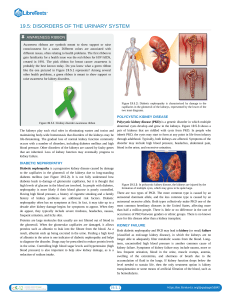 19.5  Disorders of the Urinary System