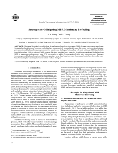 MBR Membrane Biofouling Mitigation Strategies