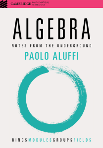 Paolo Aluffi - Algebra  Notes From The Underground