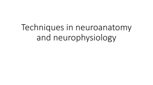 Techniques in neuroanatomy and neurophysiology