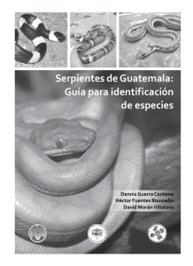 SerpientesdeGuatemala DennisGuerraCentenoetal maqueta pdf