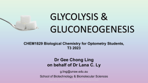 2023 CHEM1829 BABS Week 08 Lec 04 Glycolysis  Gluconeogenesis GCL (adapted from LL) (Student)
