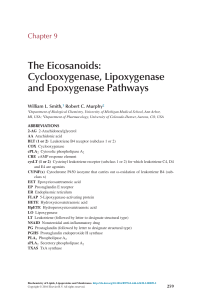 The Eicosanoids Cyclooxygenase, Lipoxygenase and Epoxygenase Pathways