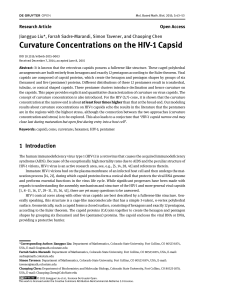 Curvature Concentrations on the HIV-1 Capsid