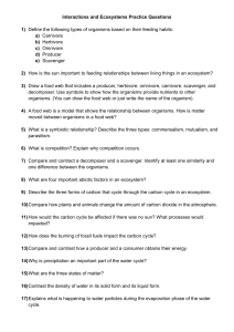 Interactions and Ecosystems Practice Questions