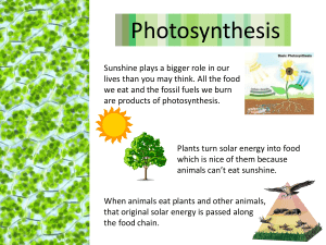 Photosynthesis-Presentation-NXPowerLite