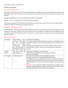 BI 251 ch 6 to 9 exam pointers