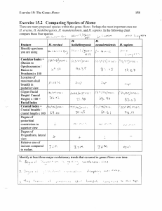 Homo Species Comparison Worksheet