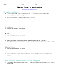 Planet Earth Mountains Worksheet