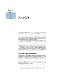 Plant Cells: Structure, Function, and Tissues