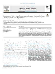 Peer directors' effort, firm efficiency and performance of diversified firms