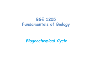 2 Biogeochemical cycle