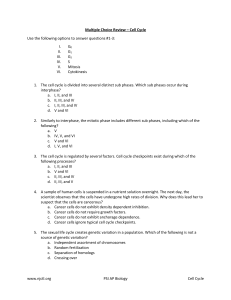 Cell Cycle Quiz