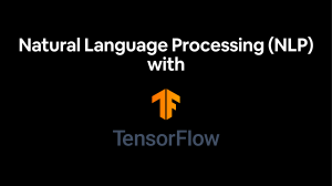 08 natural language processing in tensorflow