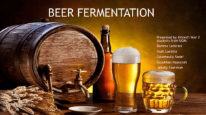 beer-fermentation